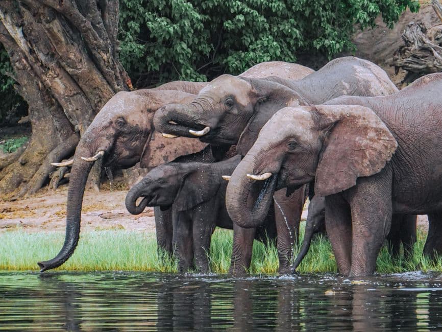 Album photo Photos — Botswana
