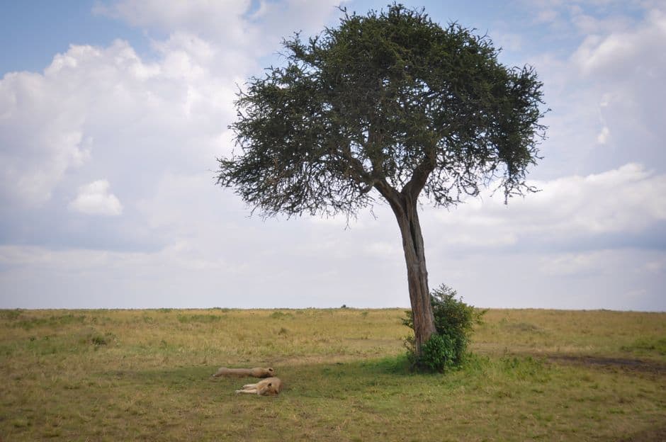 Album photo Photos — Nairobi / Nakuru