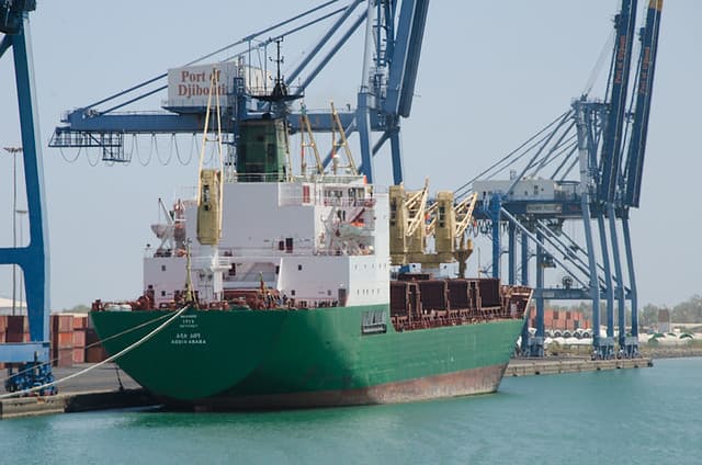 Djibouti, entre désert et mer : 10 jours d'immersion à Tadjourah