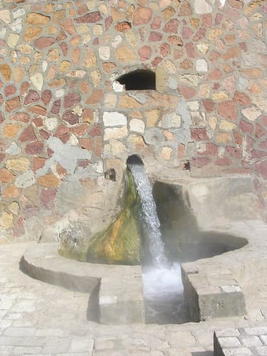 DSCN2209