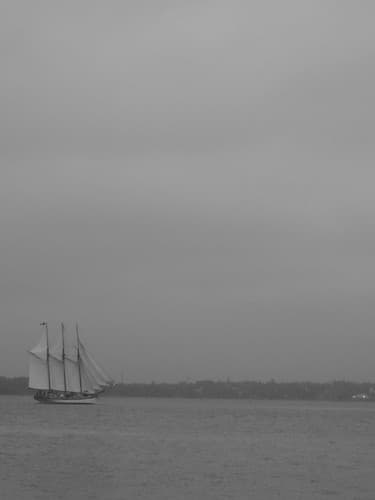 Voyaging
