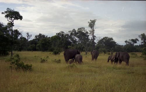 Kenya 191