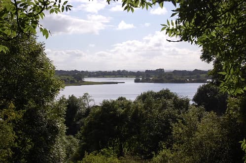Lough Gur from the forest