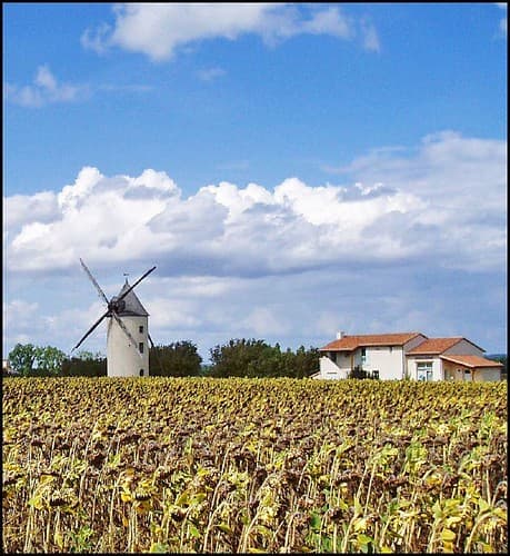 03-Montreuil-Bellay (5)