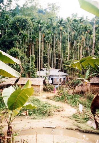 Sylhet forest village scene