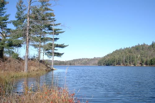 Lake in Gatineau park