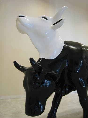 Vache à 2 têtes