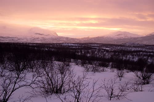 Walking around Abisko