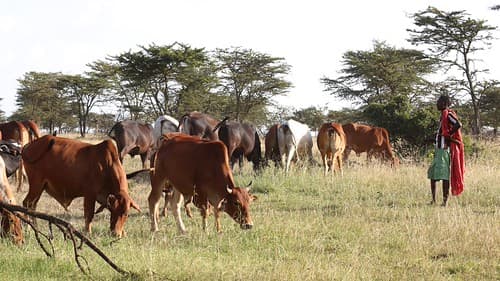 Kenya