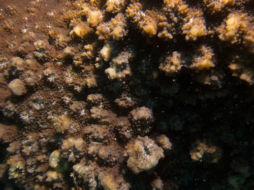 GCMP_sample_photo_2982