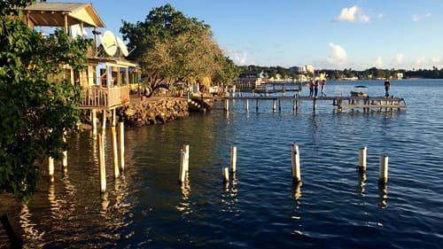 Caribbean Docks