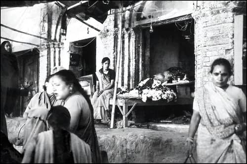 The florist
