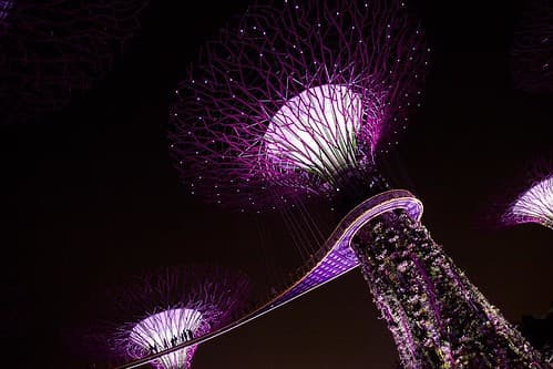 A Singapour on peut se promener dans des quartiers traditionnels le jour et d’autres plutôt futuristes la nuit. Gardens by the bay est un must do à la nuit tombée quand ces arbres mixés de métal et de végétaux s’illuminent lors du son et lumière. Un autr