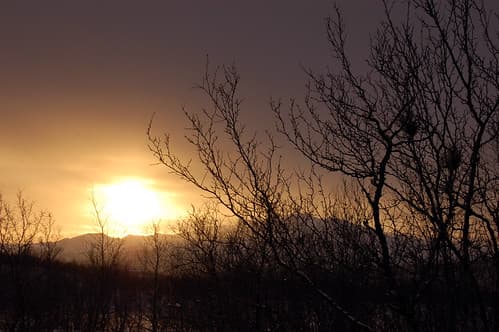 Walking around Abisko