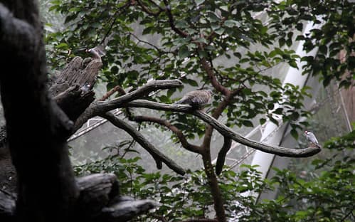 China : Hong Kong