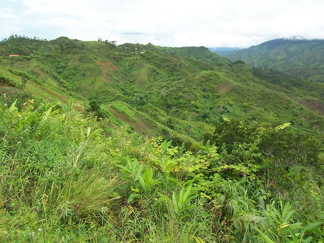 Bienvenue a Madagascar