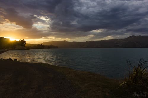 Dunedin memories
