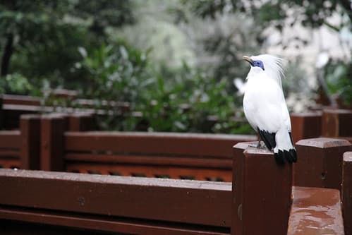 China : Hong Kong