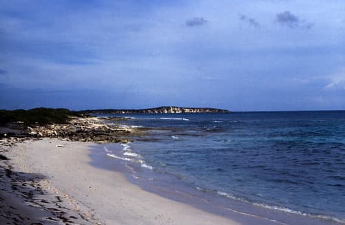 Bahamas 1989 (707) San Salvador