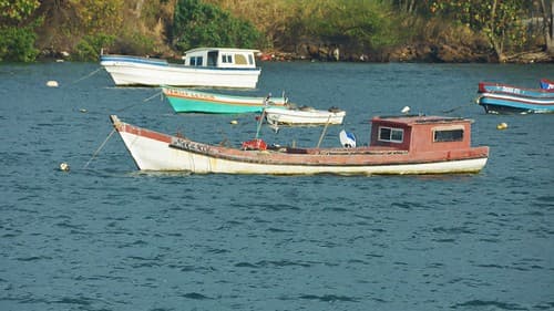Fishing Boats near Panama City