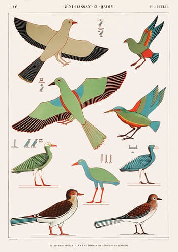 Copied paintings from the tombs of Nevoethph and Menothph from Monuments de l'&Eacute;gypte et de la Nubie (1835-1845) by Jean Fran&ccedil;ois Champollion (1790-1832). Digitally enhanced by rawpixel.