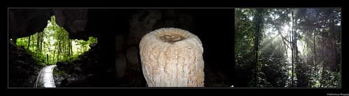 Clearwater Cave- Gunung Mulu National Park- Sarawak- Borneo- Malaisie- Malaysia
