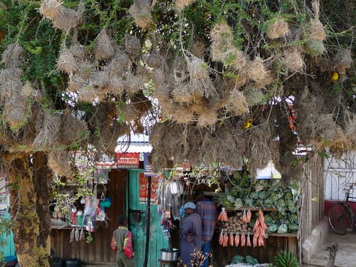 Market, Kenya