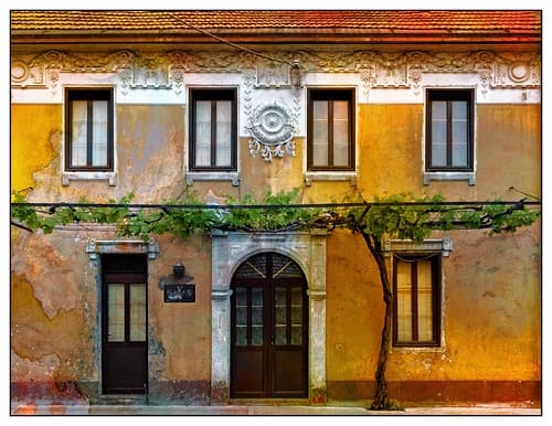 Warm Faded Grandeur