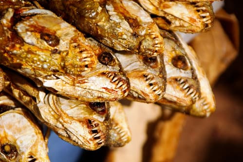 Dried fish at a market in Mali, Mopti region.