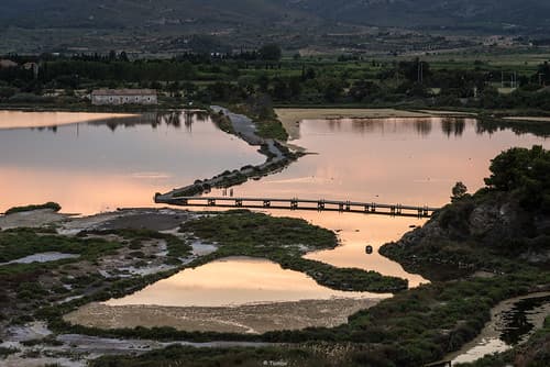 Les salins