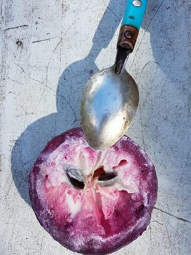 Pomme étoile ~ star apple or milk fruit