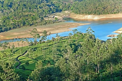 Paysage des monts du Kerala (Inde)