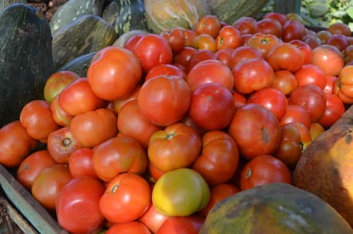 Buying red tomatoes