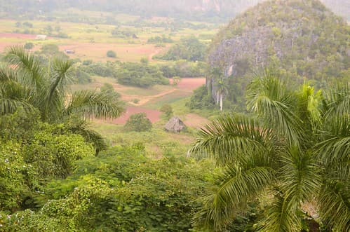 Valle de Viñales IX