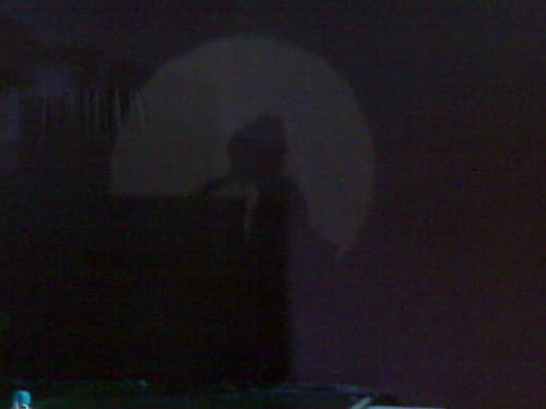 Emilie Simon's shadow