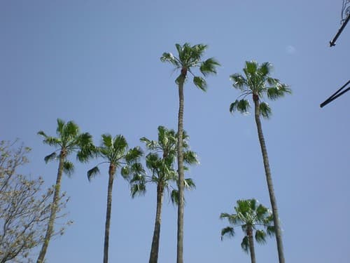 Marrakech