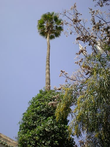 Marrakech