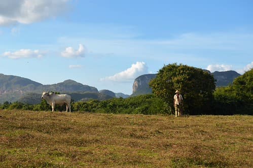 Valle de Viñales V