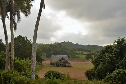 Valle de Viñales XII