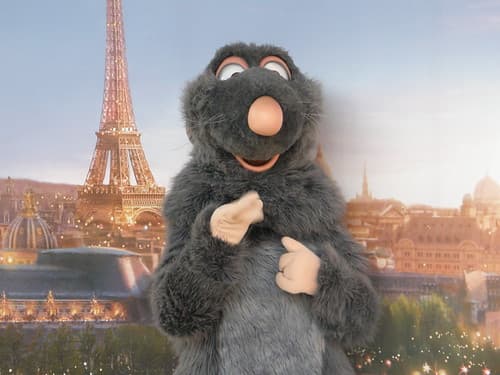 Disneyland Resort Paris
