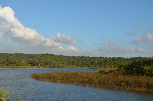 Valle de Viñales VII