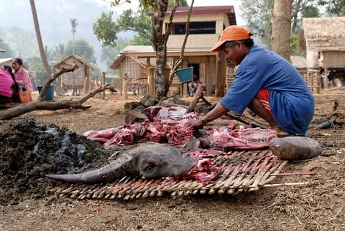 Laos