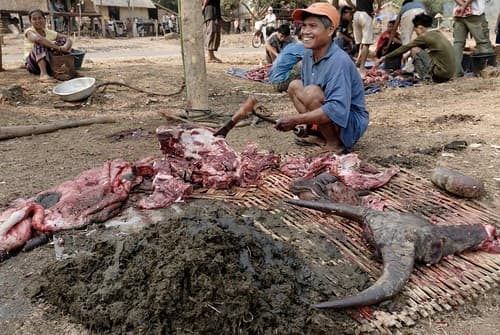Laos