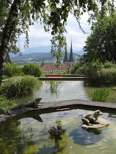 Lucerne