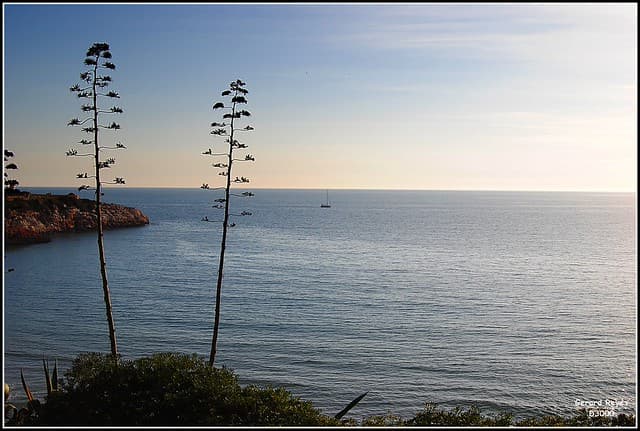 hotel Sol D'or Salou