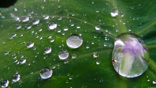 Rain Drops Macro 2