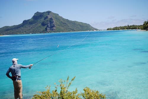 Casting in the blue lagoon, Maupiti