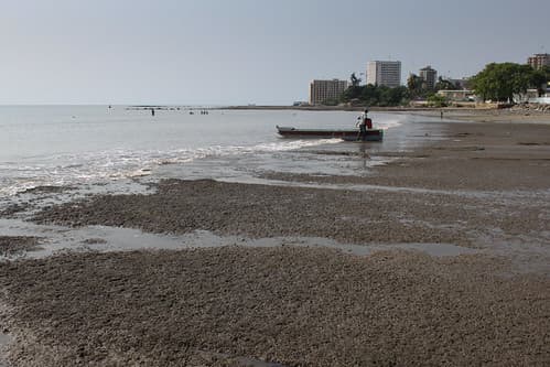 trashed beaches of Libreville