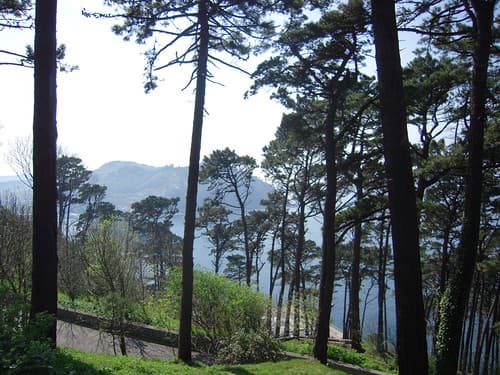 PANORAMA MONT URGULL