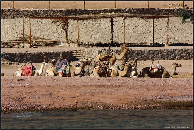 hurghada2007
